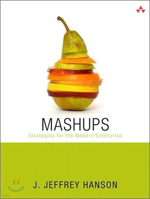 Mashups : Strategies for the Modern Enterprise