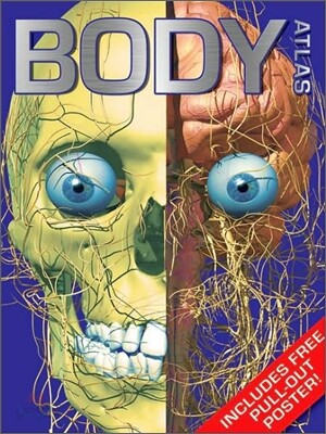 Body Atlas