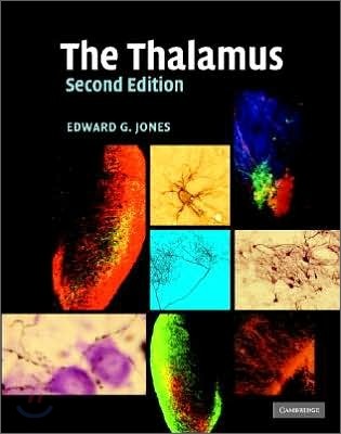 The Thalamus 2 Volume Hardback Set