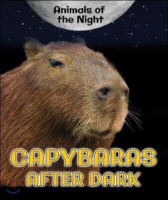 Capybaras After Dark