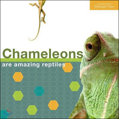 Chameleon - English