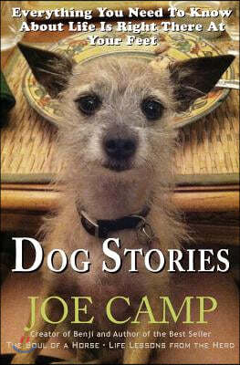 Dog Stories: Everything You Need To Know About Life Is Right There At Your Feet