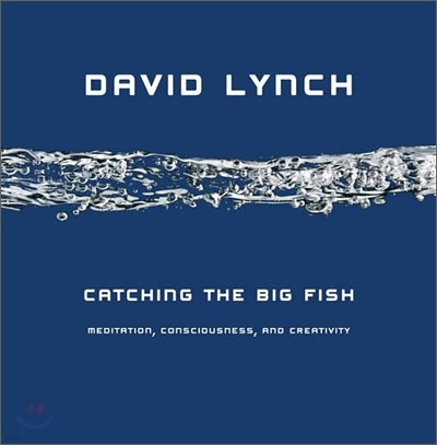 Catching the Big Fish: Meditation, Consciousness, and Creativity