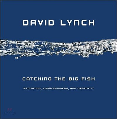Catching the Big Fish: Meditation, Consciousness, and Creativity