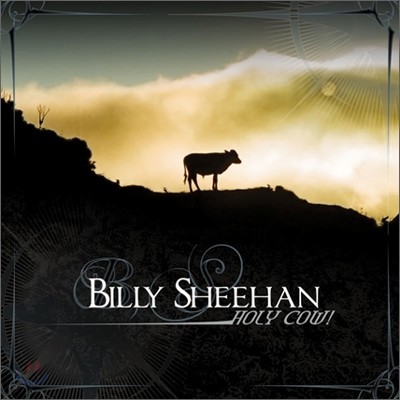 Billy Sheehan - Holy Cow!