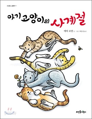 아기 고양이의 사계절