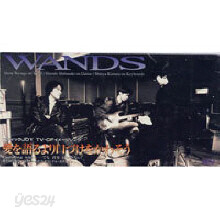 WANDS - 愛を語るより口づけをかわそう (수입/미개봉/single/todt3025)