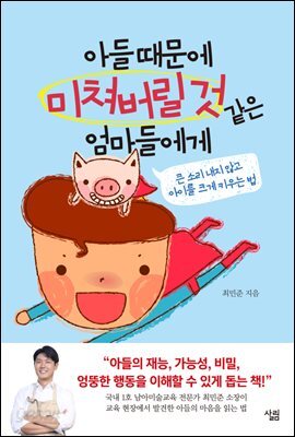 아들 때문에 미쳐버릴 것 같은 엄마들에게 : 큰소리 내지 않고 아이를 크게 키우는 법