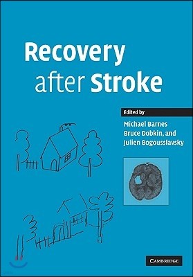 Recovery after Stroke