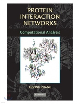 Protein Interaction Networks: Computational Analysis