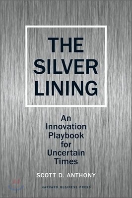 Silver Lining: Your Guide to Innovating in a Downturn