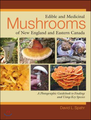 Edible and Medicinal Mushrooms of New England and Eastern Canada: A Photographic Guidebook to Finding and Using Key Species