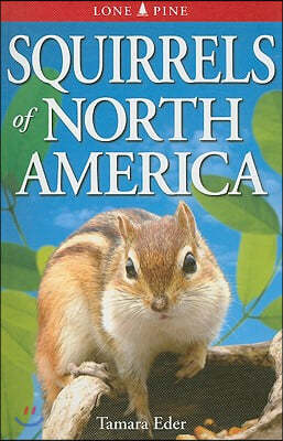 Squirrels of North America