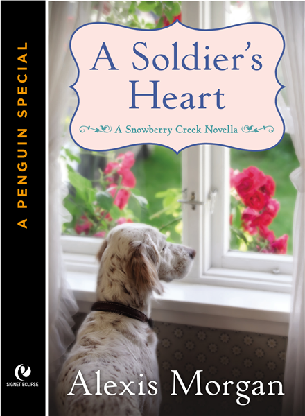 A Soldier&#39;s Heart