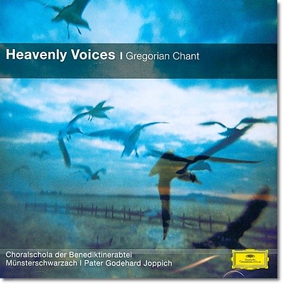 Heavenly Voices : ׷  -  ƽƮ ȸ â