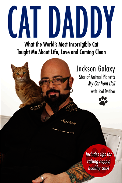 Cat Daddy