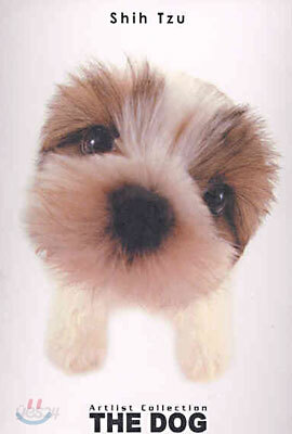 Shih Tzu(시추)