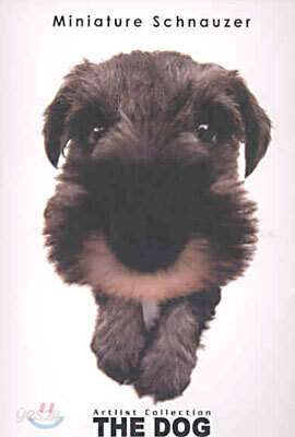 Miniature Schnauzer(미니어처 슈나우저)
