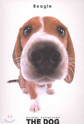 Beagle()