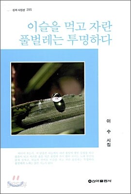 이슬을 먹고 자란 풀벌레는 투명하다