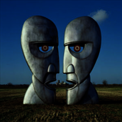 Pink Floyd - Division Bell (Gatefold Cover)(180G)(2LP)