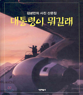 대통령이 뭐길래