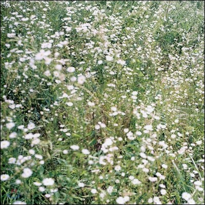 브로콜리 너마저 - 잊어야 할 일은 잊어요