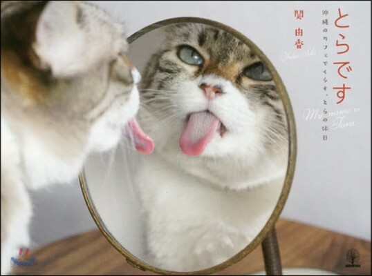 とらです 沖繩のカフェでくらす,とらの休