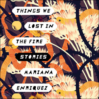 Things We Lost in the Fire: Stories