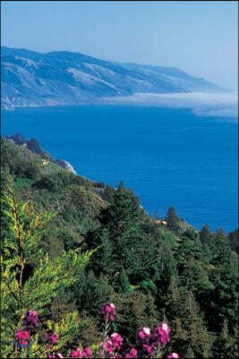 Journal: Big Sur Highway