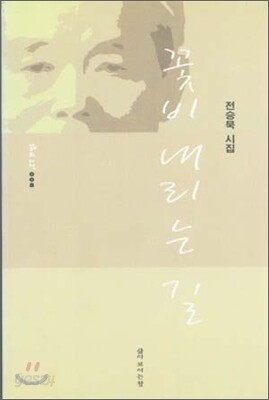 꽃비 내리는 길