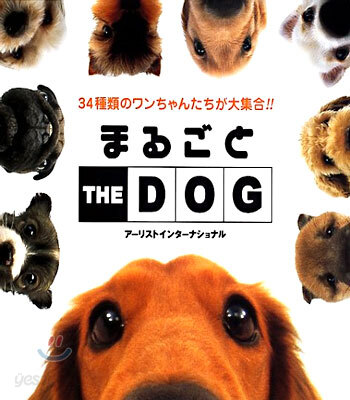 まるごと THE DOG