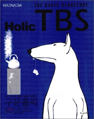 Holic TBS 구문홀릭 (2009년)