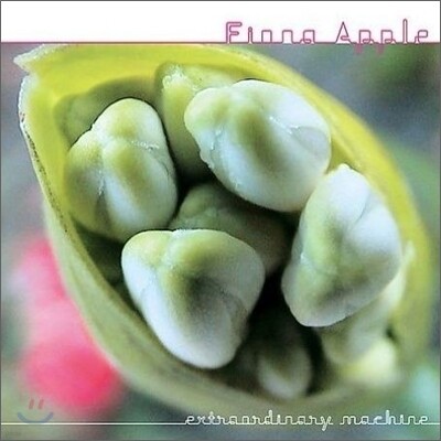 Fiona Apple — Extraordinary Machine 앨범 커버