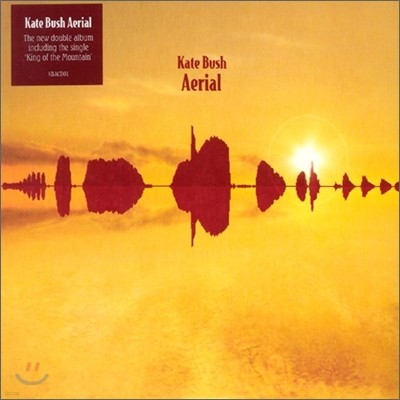 Kate Bush - Aerial