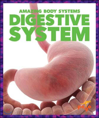 Digestive System