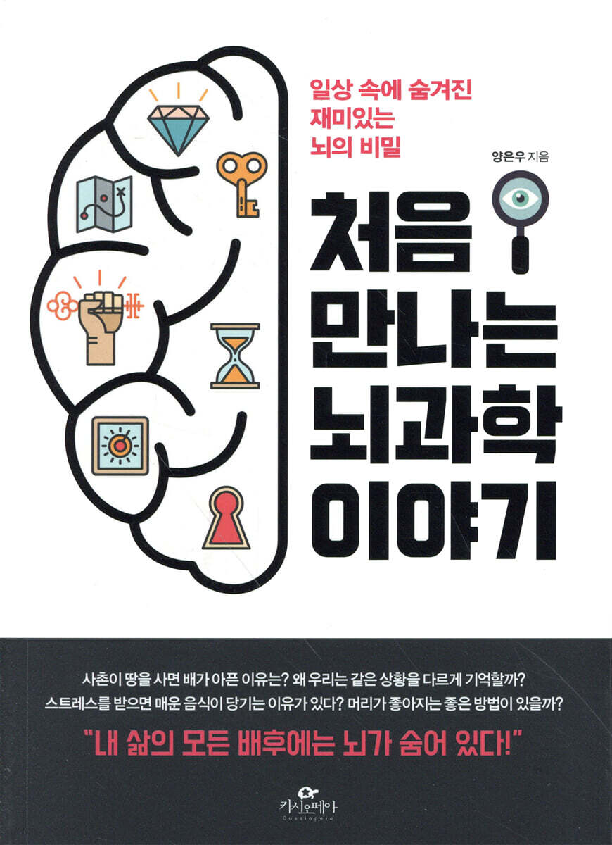 처음 만나는 뇌과학 이야기