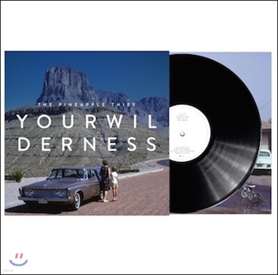 The Pineapple Thief — Your Wilderness. 앨범 커버