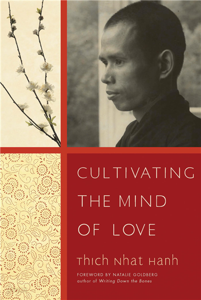 Cultivating the Mind of Love