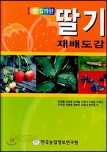 딸기 재배도감