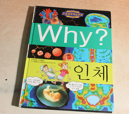 why? 인체