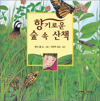 향기로운 숲 속 산책