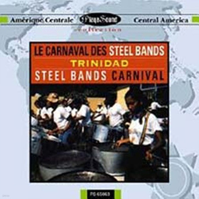 ߳: Ʈϴٵ / ƿ  (Trinidad - Steel Bands Carnaval)