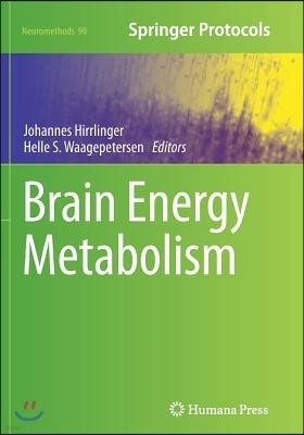 Brain Energy Metabolism