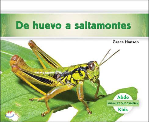 de Huevo a Saltamontes (Becoming a Grasshopper )