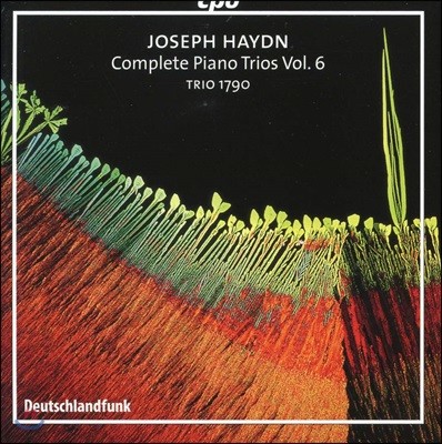 Trio 1790 ̵: ǾƳ Ʈ Vol.6 (Haydn: Complete Piano Trios Volume 6)