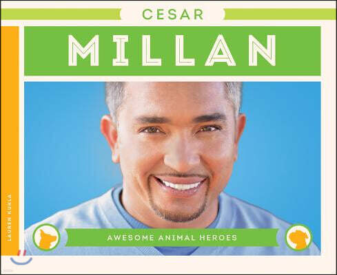 Super Sandcastle Cesar Millan
