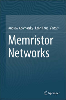 Memristor Networks