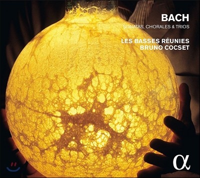 Les Basses Reunies 바흐: 비올라 다 감바 소나타, 코랄, 트리오 (J.S. Bach: Sonatas, Chorales & Trios) 브루노 콕세, 레 바스 레위니