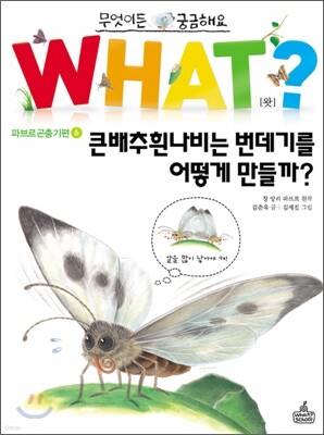 큰배추흰나비는 번데기를 어떻게 만들까?